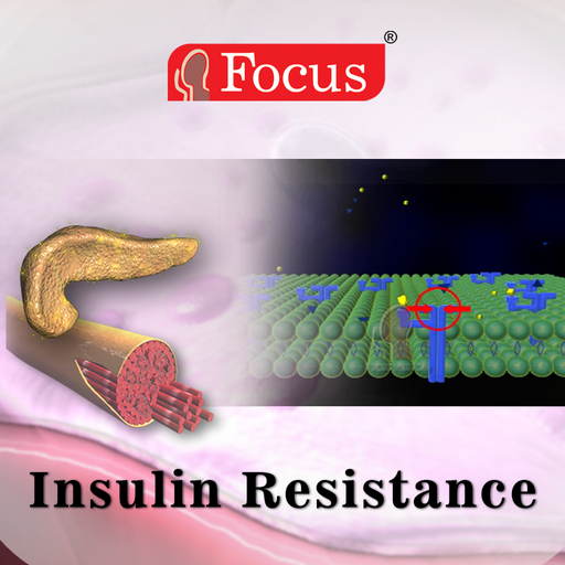 Insulin Resistance  Icon