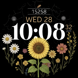 Icon image Sunflower Steps watch face