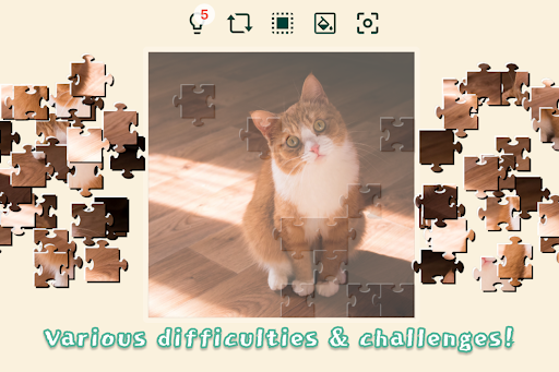 Cat jigsaw puzzles free clearance online