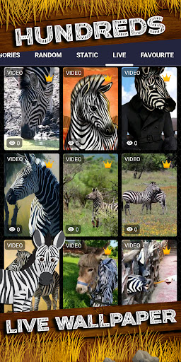 zebra wallpaper Screenshot 3 - AppWisp.com