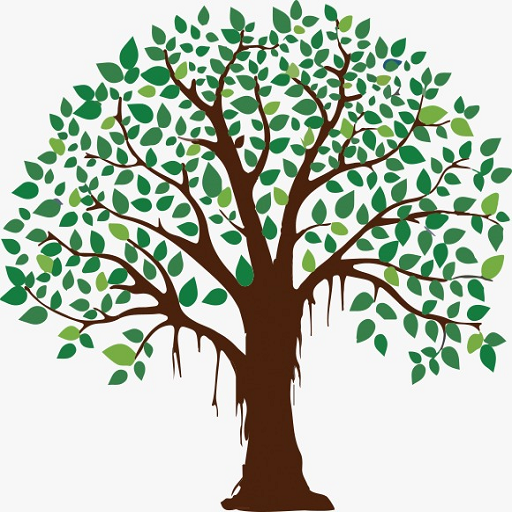 KSR IAS logo