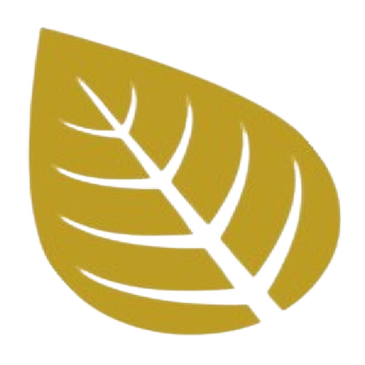 SkipTheTrip-Auto Renewals logo