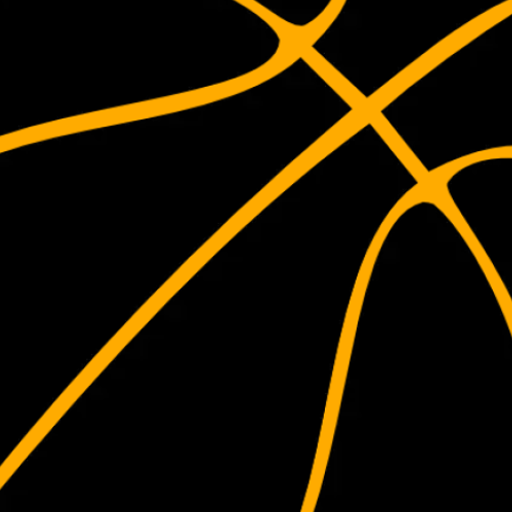 Basketball logo