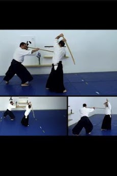 Aikido Weapons Freeのおすすめ画像2