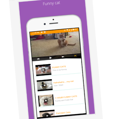 Funnycats : tom and dog videos - Latest version for Android - Download APK