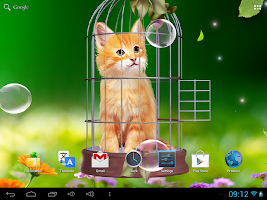 screenshot of Cat and Hummingbirds Wallpaper