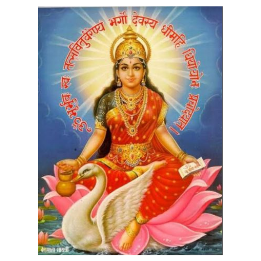 Shri Gayatri Shiksha Niketan S logo