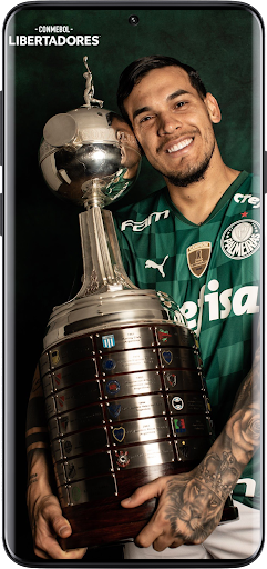 Android application Palmeiras Wallpaper 4k 2023 screenshort