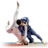 Judo Techniques Vidoes icon