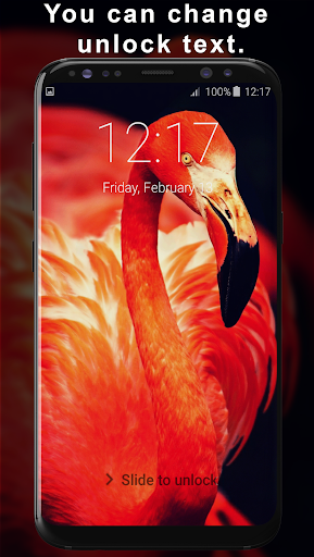 Flamingo Lock Screen Screen 3