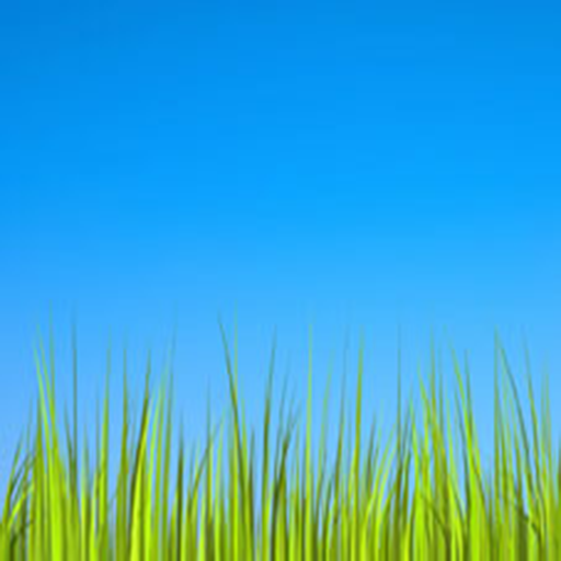 Grass LWP [Revamped+PRO] - Apps on Google Play
