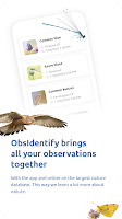 screenshot of ObsIdentify