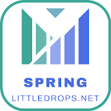 Spring Framework - Java icon