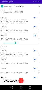 Voice Recognition Recorder