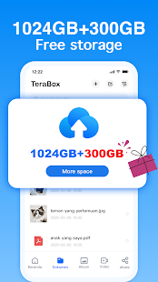Terabox: Cloud Storage Space Screenshot