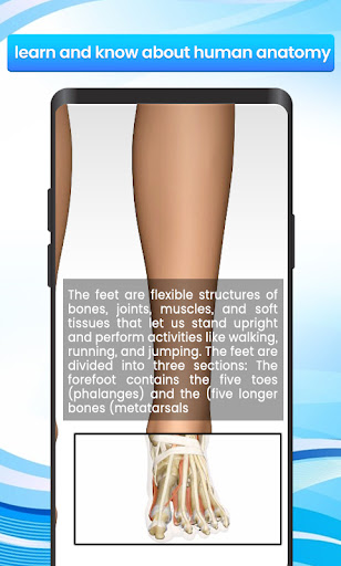 Full body scanner-Xray scanner