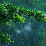 Cover Image of Descargar sound of rain to sleep  APK