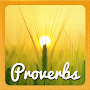 Proverbs & Phrases Collection