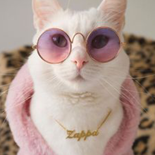 Cute Cats Wallpapers HD 4K logo