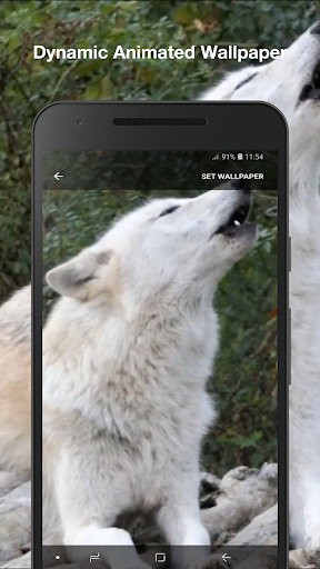Wolf Live Wallpaper Pro Screen 2