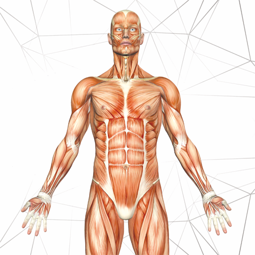 Anatomy AR Book logo