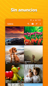 Screenshot 1 App De Galería Simple - Pro android