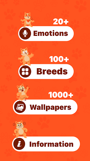 Human to cat translator app Screen 2