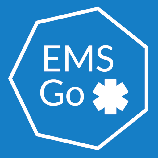 EMS Go Auf Windows herunterladen