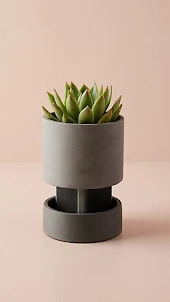 Vases Design Ideas