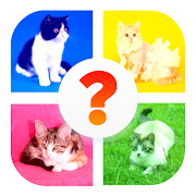 Cat Breed Quiz Game (Cat Game)  Icon