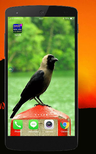 বৈশাখী (একের ভিতরে সব) screenshot 11