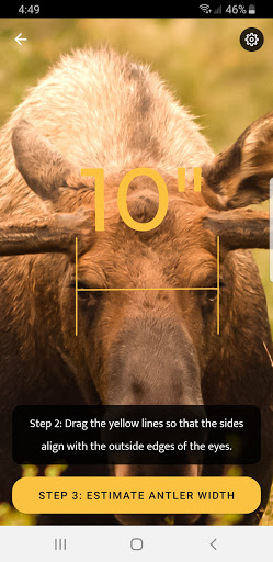 Moose Gauge Screen 3