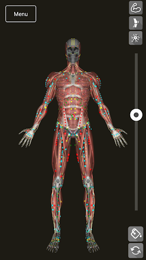 Android application 3D Counterstrain screenshort