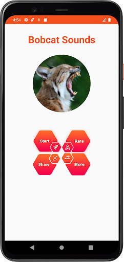 Bobcat Sounds Screen 2