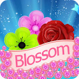 Blossom Bubble icon
