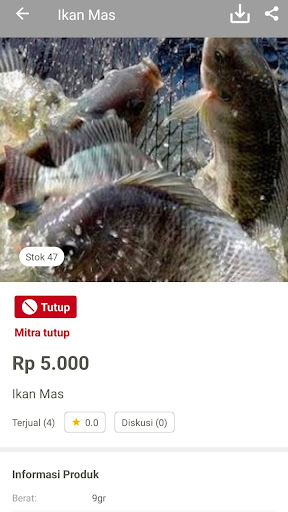 Jofish Screen 3