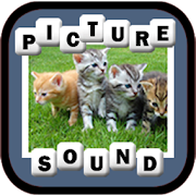 Pic D Sound app icon