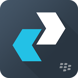 Icon image BlackBerry Enterprise BRIDGE