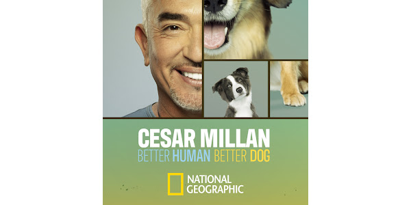 SCNG PREMIUM MAGAZINE July 2022 ANIMAL TALES Cesar Millan YOUR GUIDE TO PETS  Dog