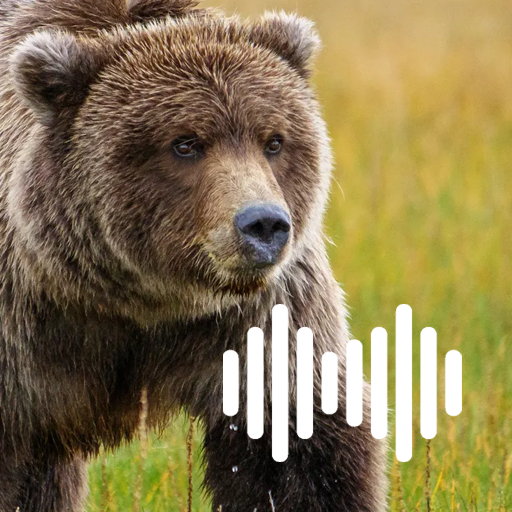Bear Hunting Calls logo