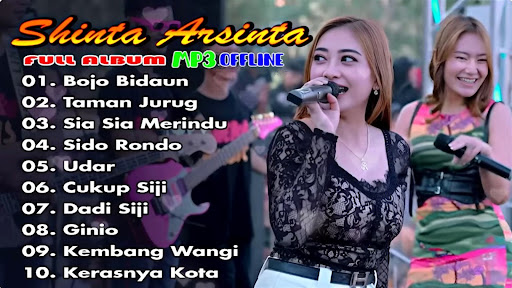 Android application Shinta Arsinta Bojo Biduan Mp3 screenshort