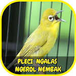 Cover Image of ダウンロード Pleci Ngalas Ngerol Nembak Offline 2.0 APK