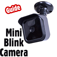 Mini blink camera guide