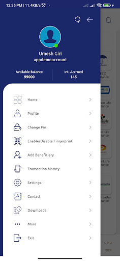 Narayani Smart Mobile Screen 2