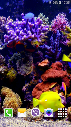 Aquarium 4K Video Wallpaper Screen 3