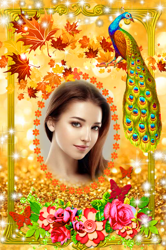 Android application Love Bird photo Frame screenshort