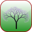 Arbor Lite - TOEFL Advanced icon