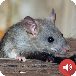 Icon image Mouse and Rat Sounds