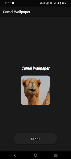 Camel Wallpaper Screen 2