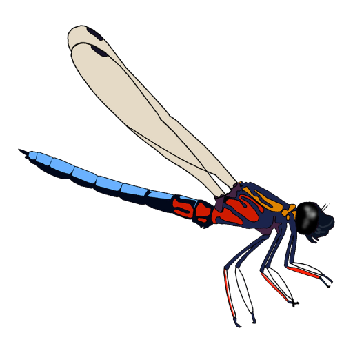 DragonflyPro logo
